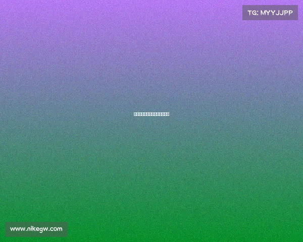 雄鹿队表现稳健，排名稳步上升